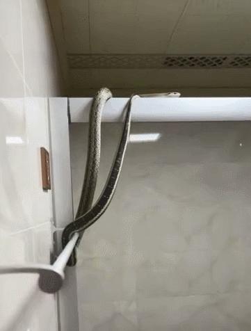 DƬ